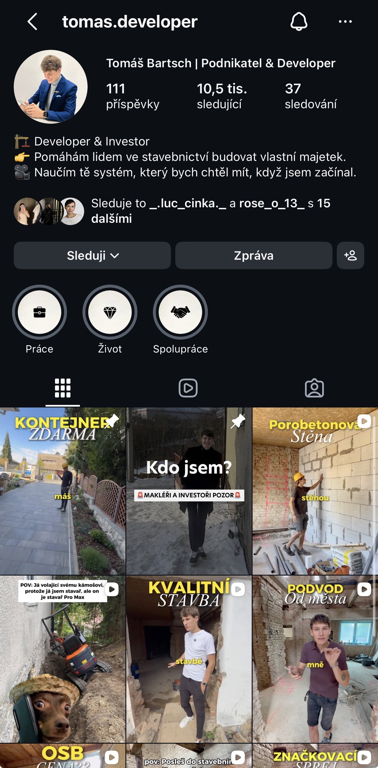 Sjednocený vizuální profilu
