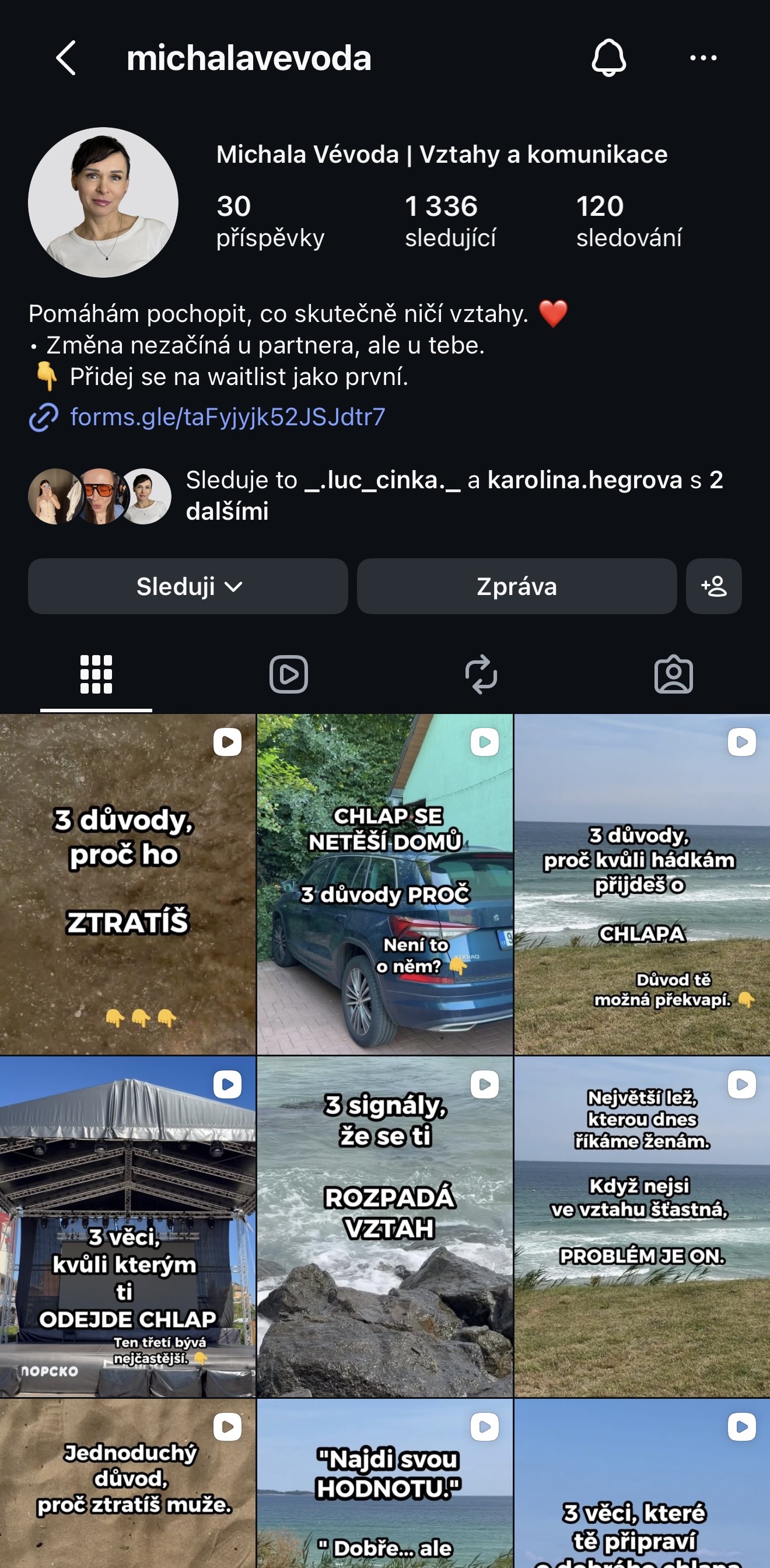 Sjednocený vizuální profilu